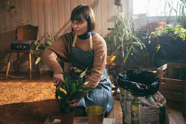 Indoor Gardening